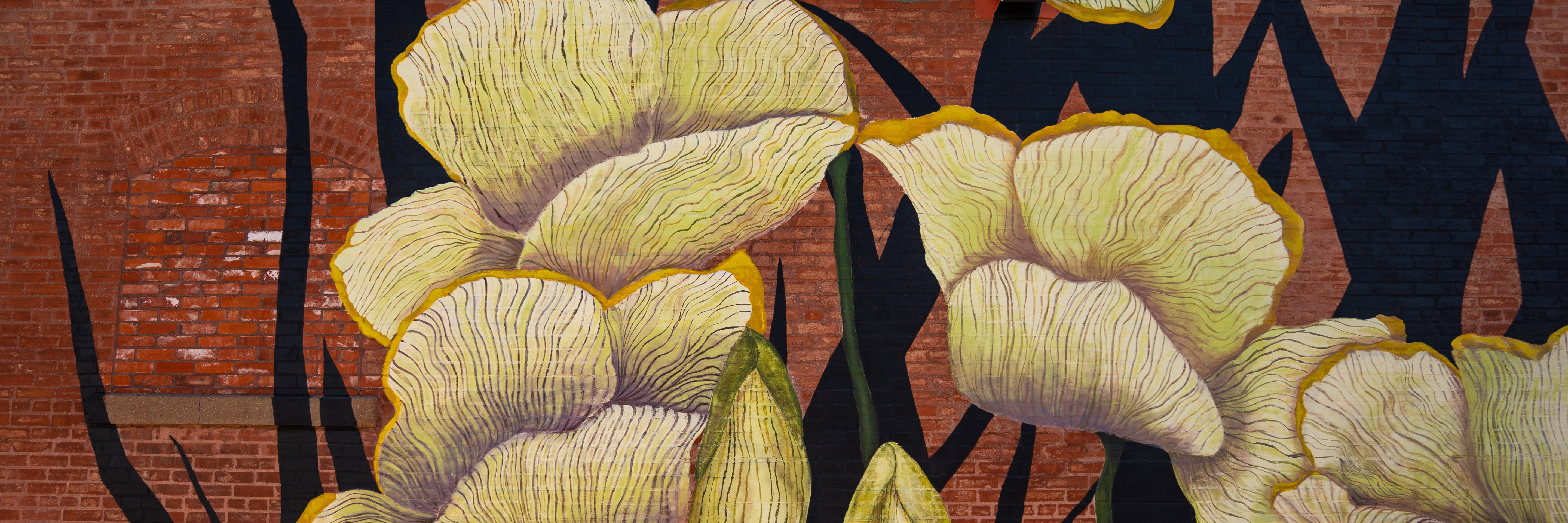 Wildflowers I