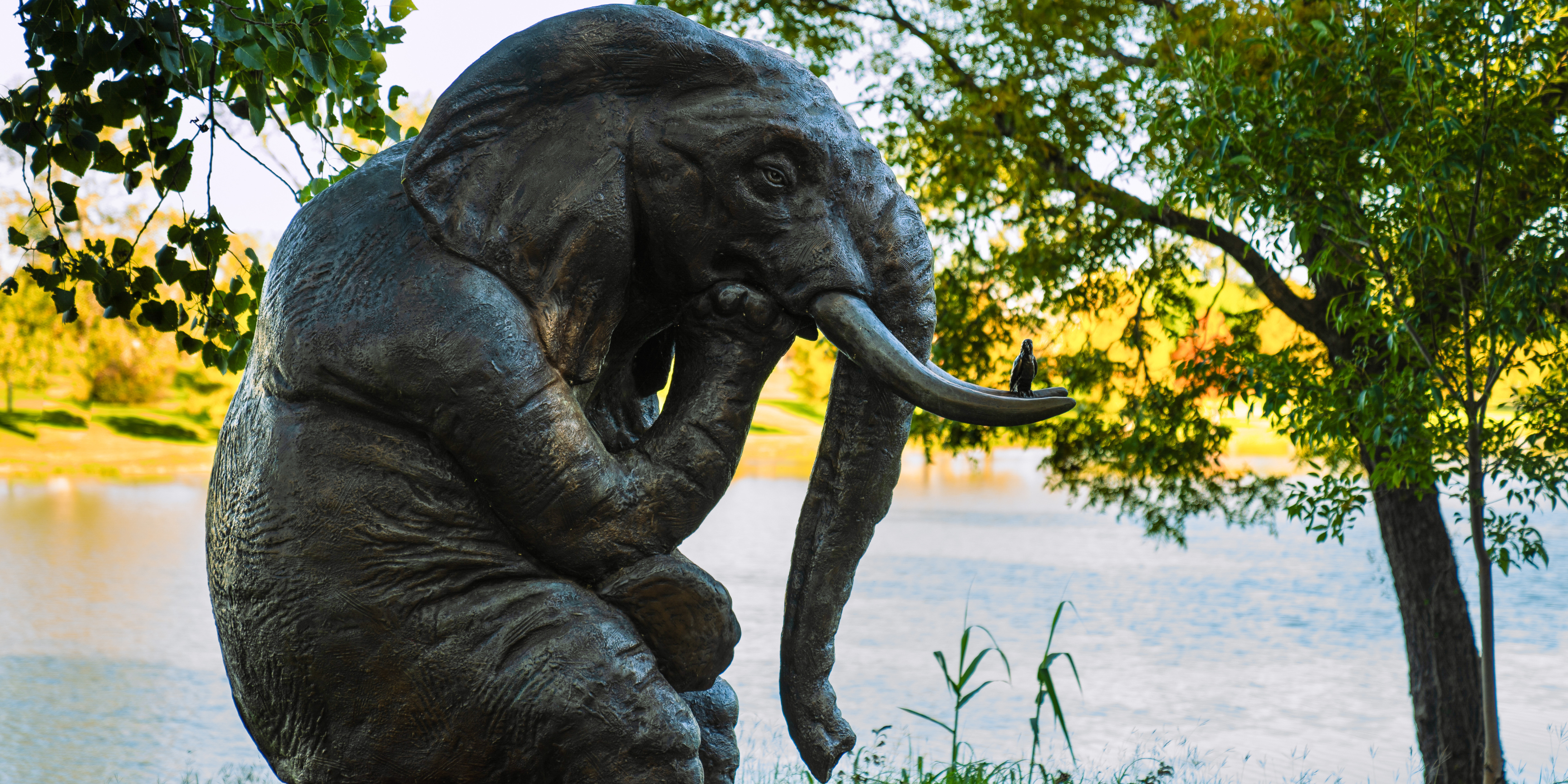 Wise Elephant